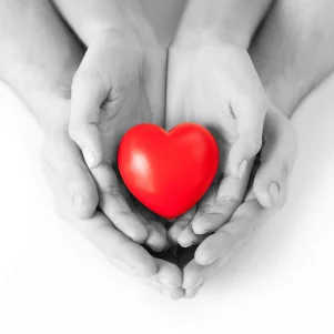 Darul Uloom Chishtiya Barkat e Raza